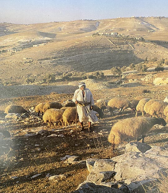 Shepherds field near Bethlehem